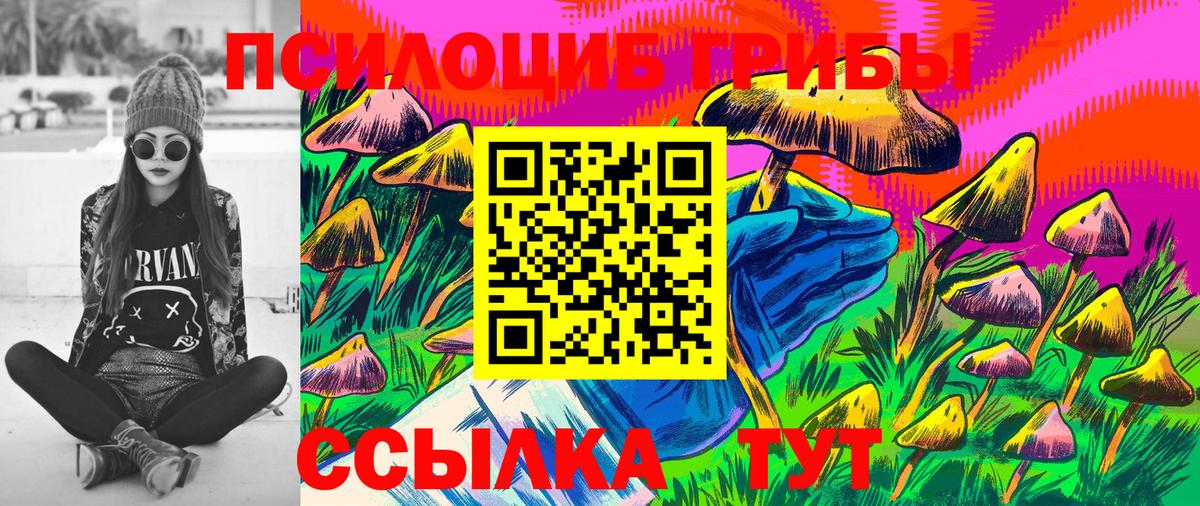 Галлюциногенные грибы Cubensis Ипатово